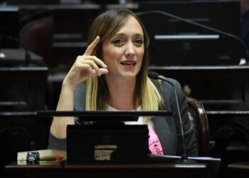 Presentaron un proyecto para autorizar el voto remoto a senadoras embarazadas voto remoto