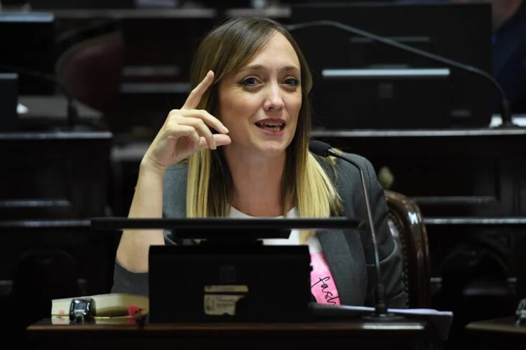Presentaron un proyecto para autorizar el voto remoto a senadoras embarazadas voto remoto