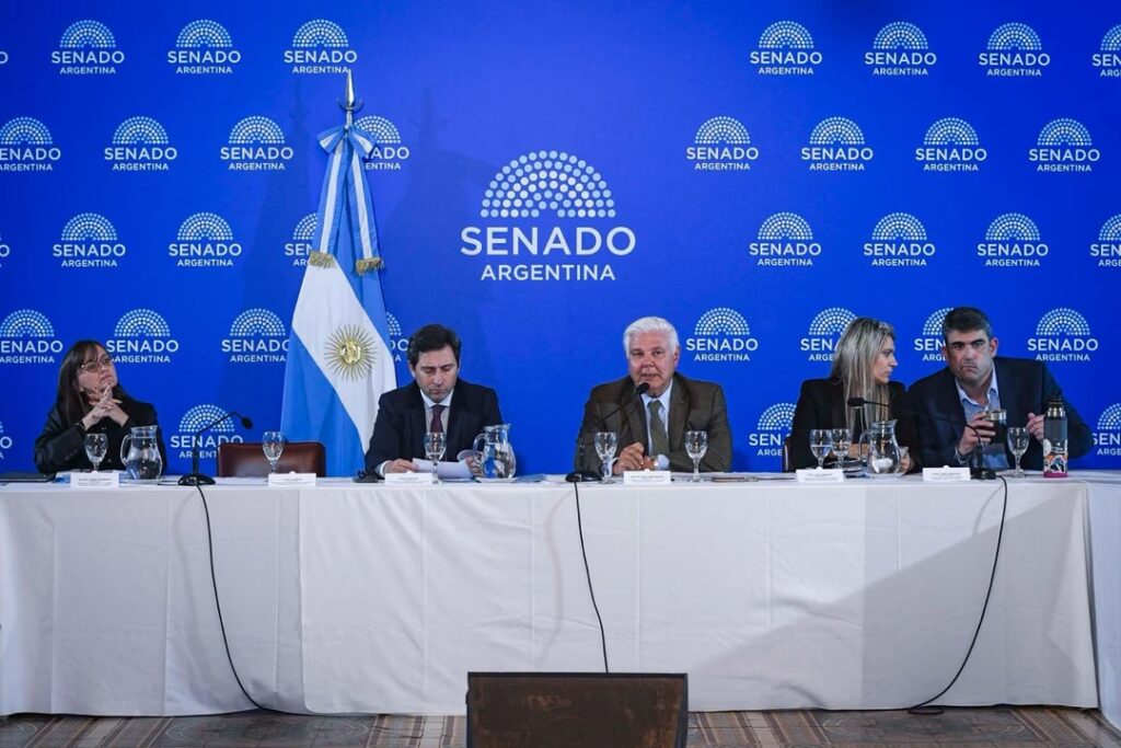 El Senado inicia el debate del Súper RIGI para captar inversiones tecnológicas y mineras Se tratara con funcionarios el proyecto del Super Rigi.