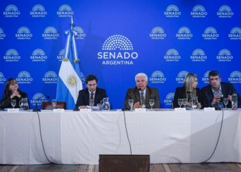 El Senado inicia el debate del Súper RIGI para captar inversiones tecnológicas y mineras Se tratara con funcionarios el proyecto del Super Rigi.