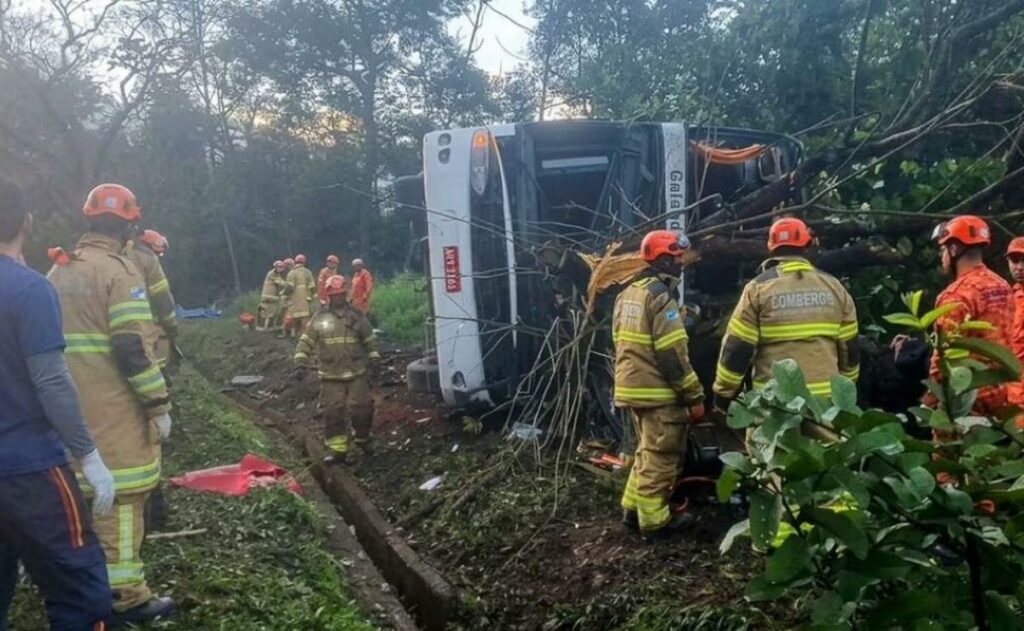 Tragedia en Brasil: volcó un micro turístico y murieron al menos 10 personas Tragedia en Brasil: volcó un micro turístico y murieron al menos 10 personas