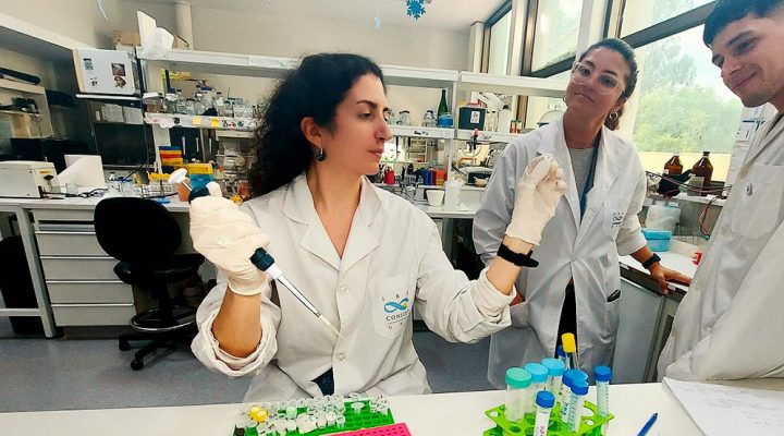 Un equipo del Conicet avanza en un método económico de diagnóstico temprano de dengue Conicet