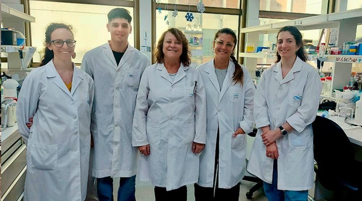 Un equipo del Conicet avanza en un método económico de diagnóstico temprano de dengue Un equipo del Conicet avanza en un método económico de diagnóstico temprano de dengue