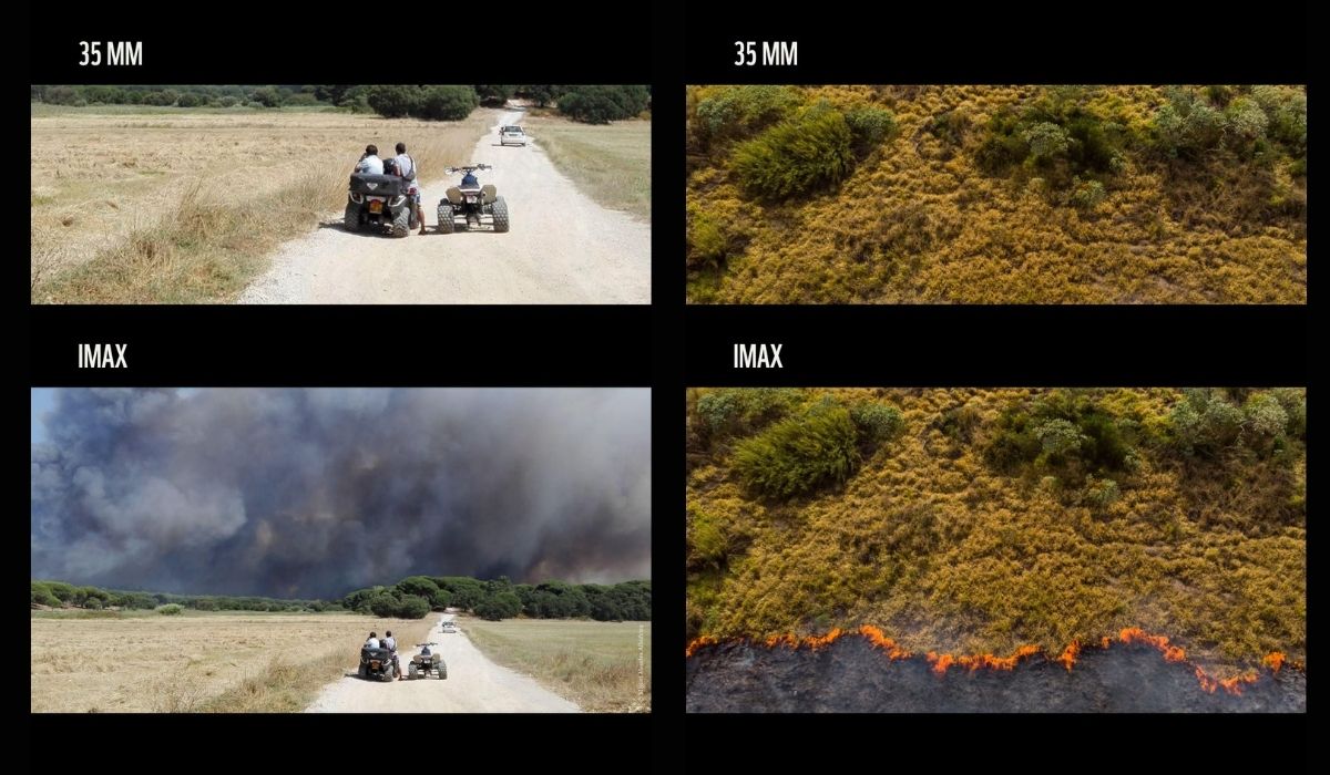 WWF International difundió en sus redes sociales fotografías de la crisis ambiental: "Como lo planeó Nolan, pero no lo que planeamos para el mundo. Ya sea que decidamos verlo o no, las sirenas están sonando en todo el mundo". 
