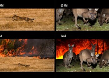 WWF apeló al cine para advertir sobre la crisis ambiental