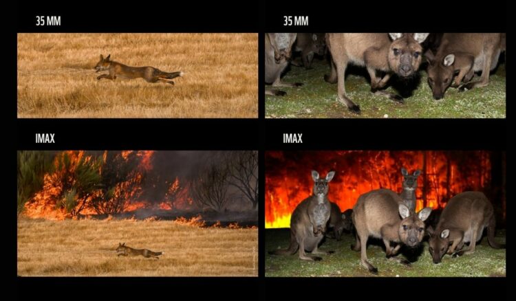 WWF apeló al cine para advertir sobre la crisis ambiental