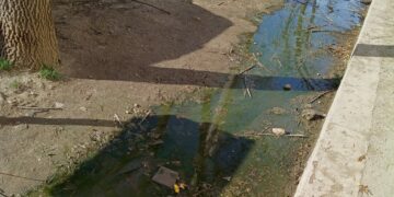 Pese a los reiterados reclamos de la comunidad educativa, el derrame de aguas servidas continúa frente al IPEM 129.