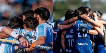 Cuándo juegan las Leonas y los Leones y cómo verlo