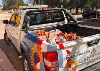 Decomisaron 300 kilos de carne durante controles en San Justo e Ischilín