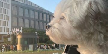Martes con temperaturas en ascenso y viento del noreste