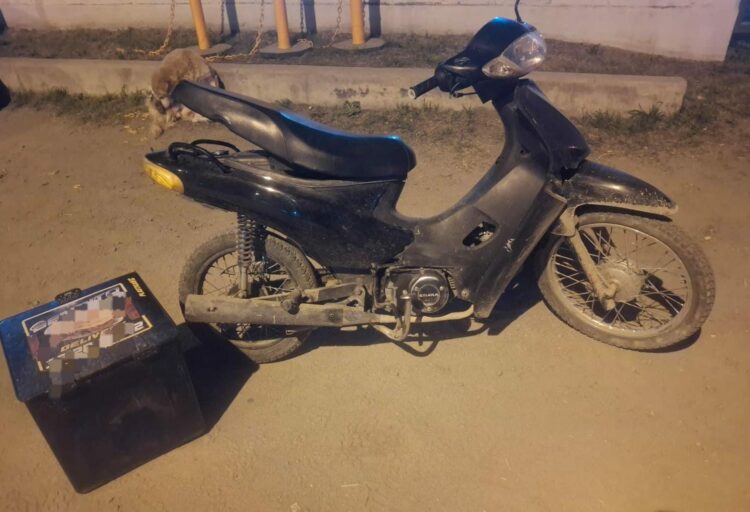 Dos detenidos tras asaltar a un repartidor en Córdoba: recuperaron la moto robada Dos hombres fueron detenidos en barrio Ampliación Cabildo tras el asalto a un repartidor en San Pablo. La Policía recuperó la motocicleta robada y secuestró una réplica de arma de fuego.