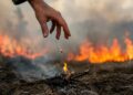 El fuego puede propagarse rápidamente cuando se combina con altas temperaturas, baja humedad y viento.