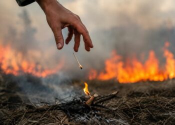 El fuego puede propagarse rápidamente cuando se combina con altas temperaturas, baja humedad y viento.