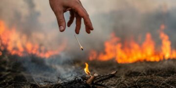 El fuego puede propagarse rápidamente cuando se combina con altas temperaturas, baja humedad y viento.