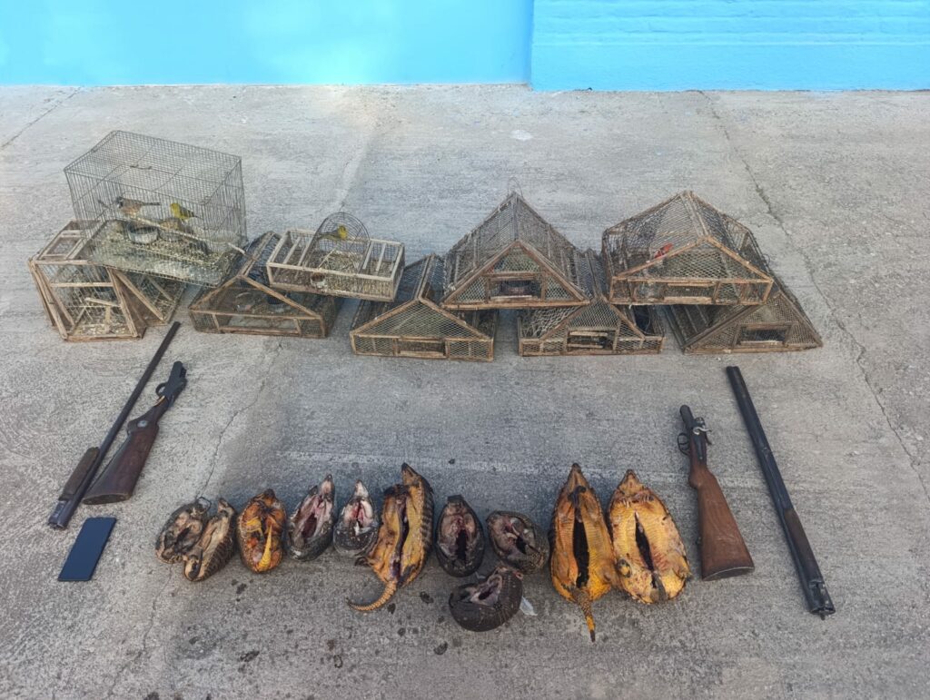 Operativo en la localidad de Quilino.