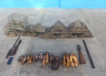 Operativo en la localidad de Quilino.