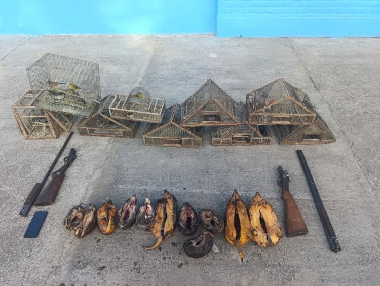 Operativo en la localidad de Quilino.