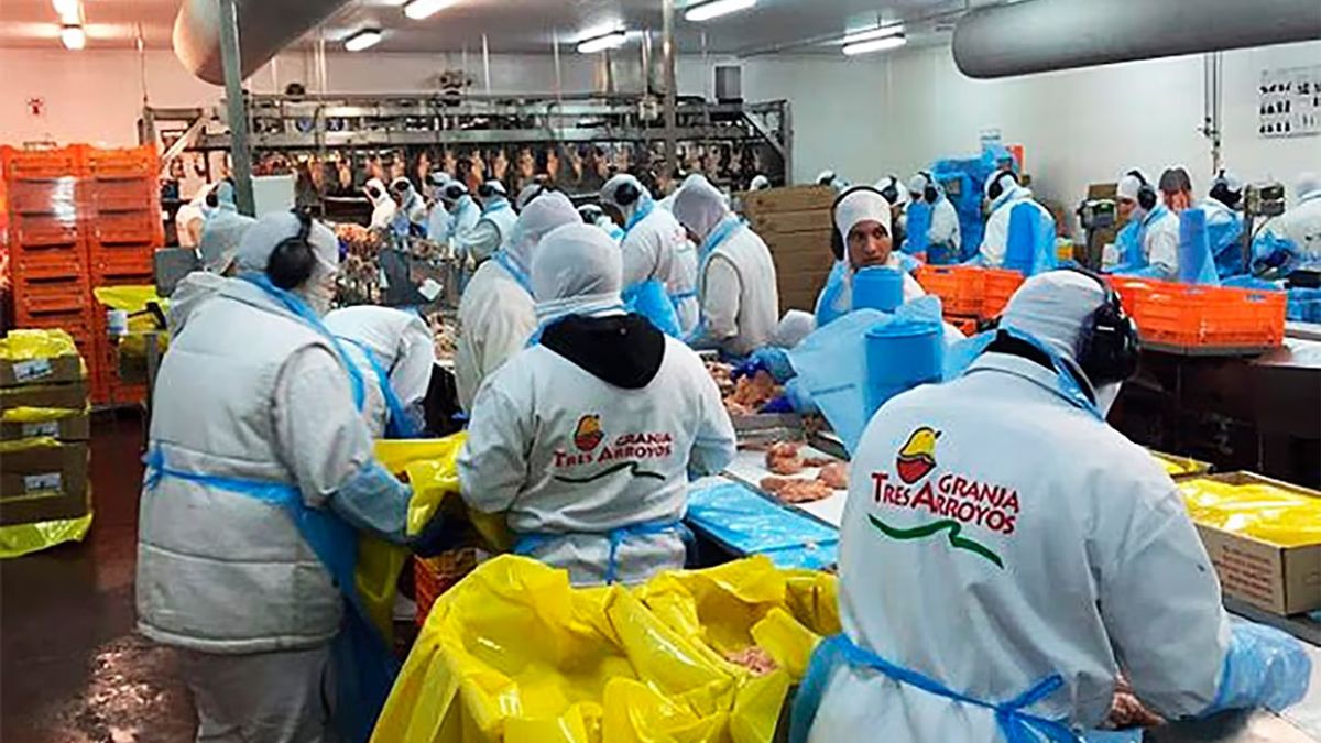 Granja Tres Arroyos despidió a 260 trabajadores por la caída de la actividad Granja Tres Arroyos despidió a 260 trabajadores por la caída de la actividad
