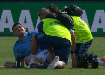 Los Pumas