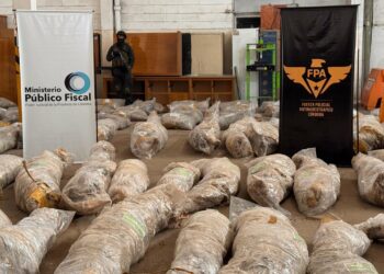 Córdoba destruyó drogas valuadas en casi $1.500 millones tras más de 5 mil procedimientos Córdoba destruyó drogas valuadas en casi $1.500 millones tras más de 5 mil procedimientos