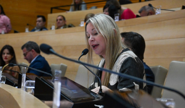 Julieta Rinaldi, repasó los puntos principales del proyecto de Ley Régimen Penal Juvenil de Córdoba.