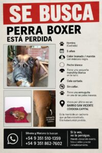 Mancha lleva ocho días perdida: su dueña busca al último regalo de su papá Mancha lleva ocho días perdida: su dueña busca al último regalo de su papá