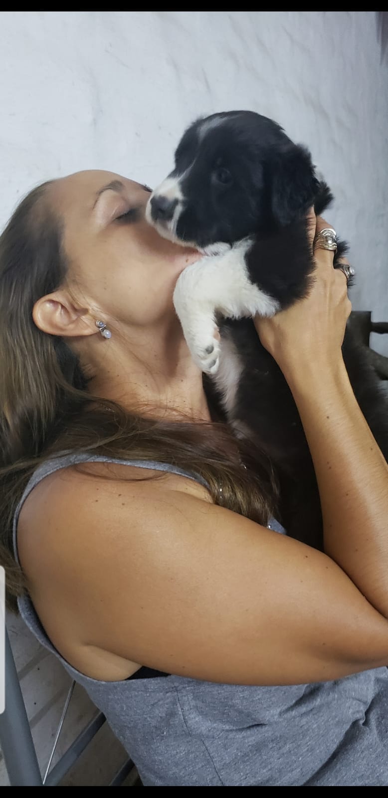 Alerta por estafas con mascotas perdidas en Córdoba