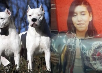 Dictan sentencia contra José Nieto, dueños de los dogos que mataron a Trinidad Ballesteros Trinidad Ballesteros