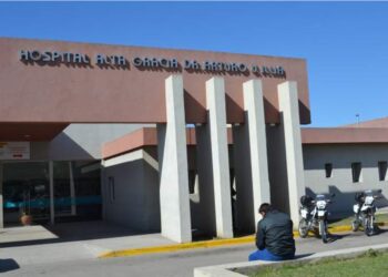 Dos niños murieron tras ser atacados por perros en pocas horas Dos niños murieron tras ser atacados por perros en pocas horas