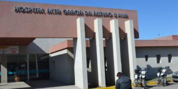 Dos niños murieron tras ser atacados por perros en pocas horas