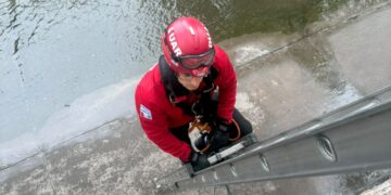 El Duar salvó a un perro que cayó al desagüe de La Cañada