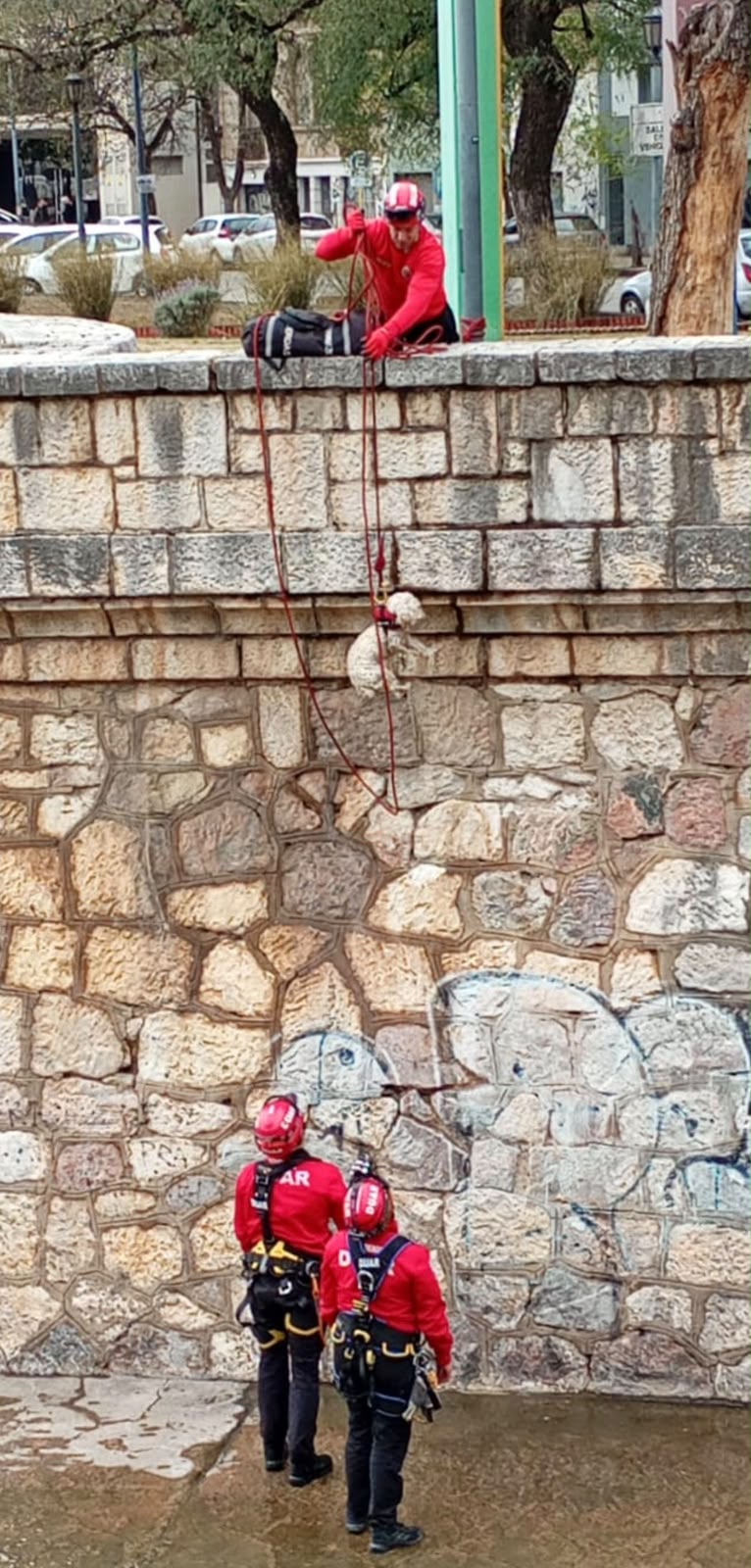 El Duar salvó a un perro que cayó al desagüe de La Cañada El Duar salvó a un perro que cayó al desagüe de La Cañada