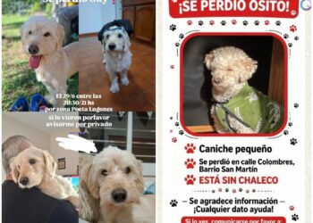 Alerta por estafas con mascotas perdidas en Córdoba