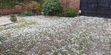 Los patios y los techos quedaron blancos de piedra en la zona norte.