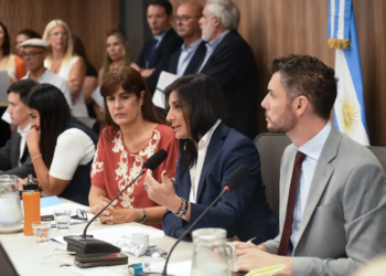 Los expertos comenzaron a debatir los proyectos sobre la situación de los morosos