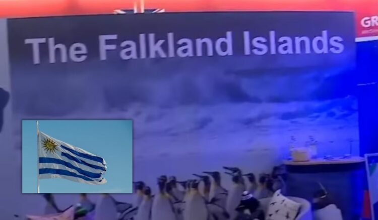 Malvinas: Argentina protestó ante Uruguay por un stand británico en la Expo Prado El stand de las Islas Malvinas en el pabellón británico de la Expo Prado de Uruguay Imagen: Captura Canal 12.