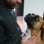 Mancha lleva ocho días perdida: su dueña busca al último regalo de su papá Mancha lleva ocho días perdida: su dueña busca al último regalo de su papá