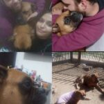 Mancha lleva ocho días perdida: su dueña busca al último regalo de su papá Mancha lleva ocho días perdida: su dueña busca al último regalo de su papá