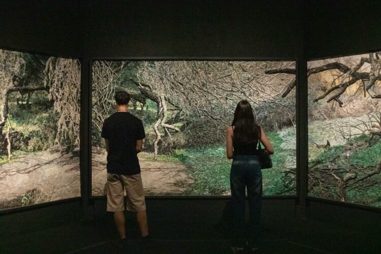 Una obra que propone recorrer los paisajes argentinos y abrir una mirada sobre el territorio, la identidad y los ciclos de la naturaleza.