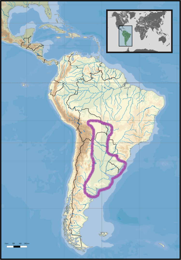 La expansión de la agricultura y las plantaciones forestales transformó millones de hectáreas de la Pampa sudamericana, que entre 1985 y 2024 perdió 11,3 millones de hectáreas de vegetación nativa.