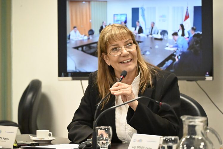 La legisladora Patricia Botta impulsa el proyecto.