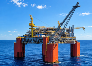 Las operadoras del proyecto Sea Lion le respondieron a Javier Milei.