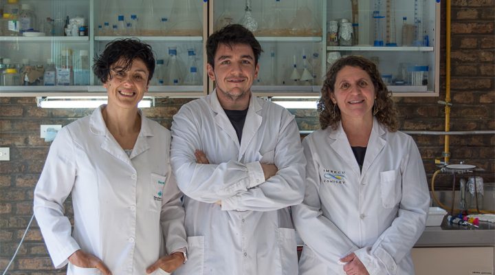 Un estudio del Conicet analizó el impacto del cáncer renal en el tejido adiposo Un estudio del Conicet analizó el impacto del cáncer renal en el tejido adiposo