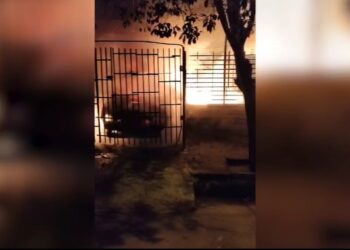 Bomberos sofocaron un incendio en un automóvil Bomberos sofocaron un incendio en un automóvil