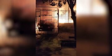 Bomberos sofocaron un incendio en un automóvil