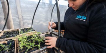 A cinco meses de su puesta en marcha, ya produce cerca de 8 mil ejemplares de flora nativa