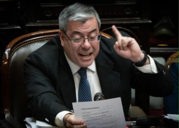 Germán Martínez pedirá una sesión especial para derogar el DNU 70