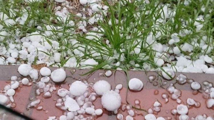 Los daños que está dejando la tormenta en las Sierras y la ciudad El temporal afecta a distintos sectores de Córdoba con granizo, lluvias intensas y ráfagas, mientras se reportan daños en viviendas y arbolado.