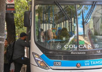 El cambio alcanza a 24 líneas de colectivos.