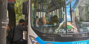 El cambio alcanza a 24 líneas de colectivos.